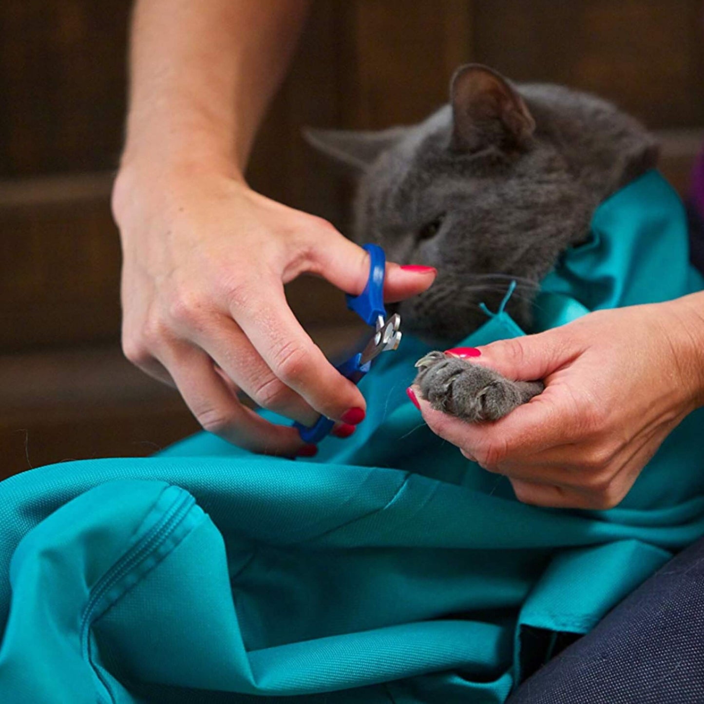 Buy Three And Get Three FREE: Cat Carrier Pouch
